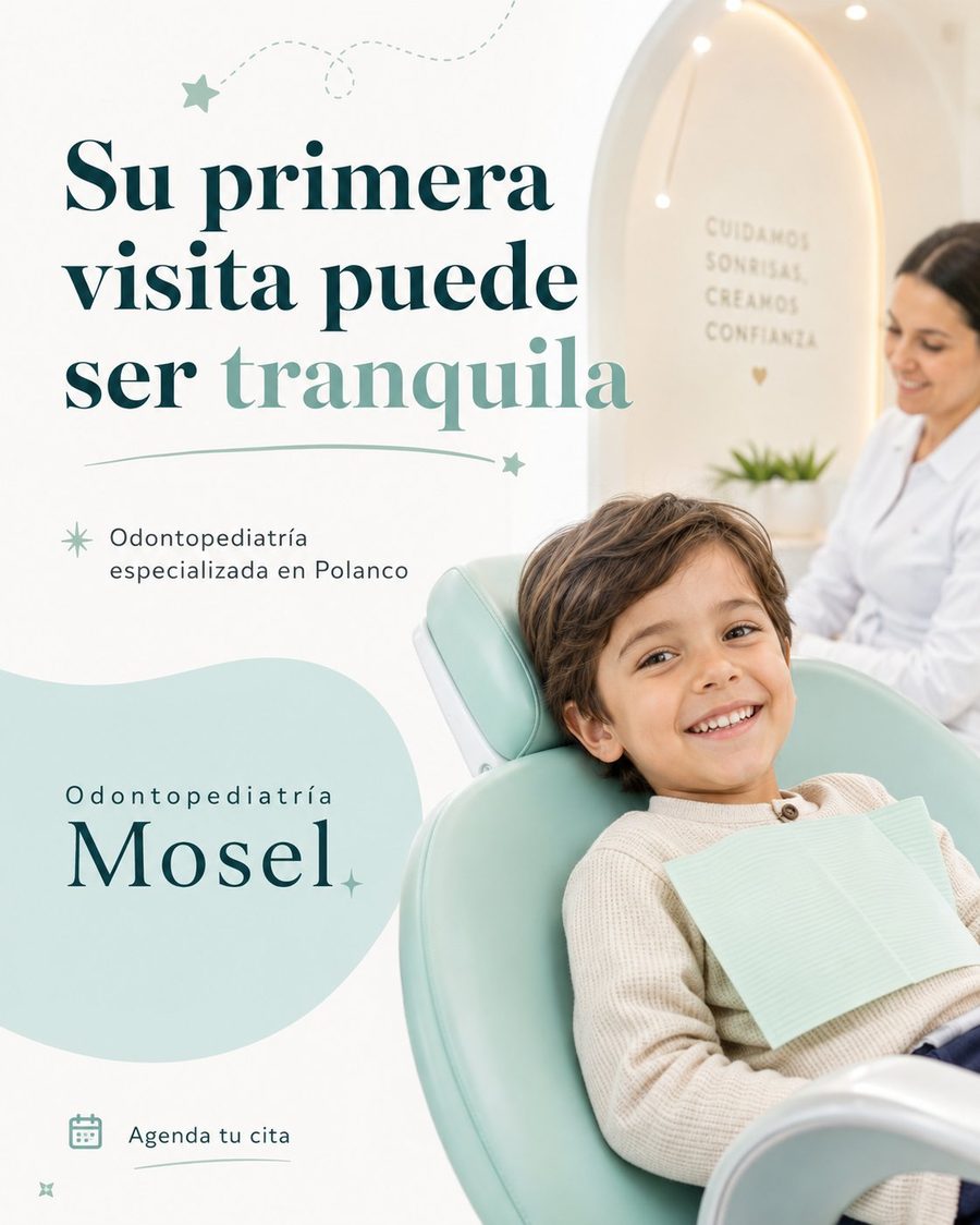 Mosel — poster: Su primera visita puede ser tranquila